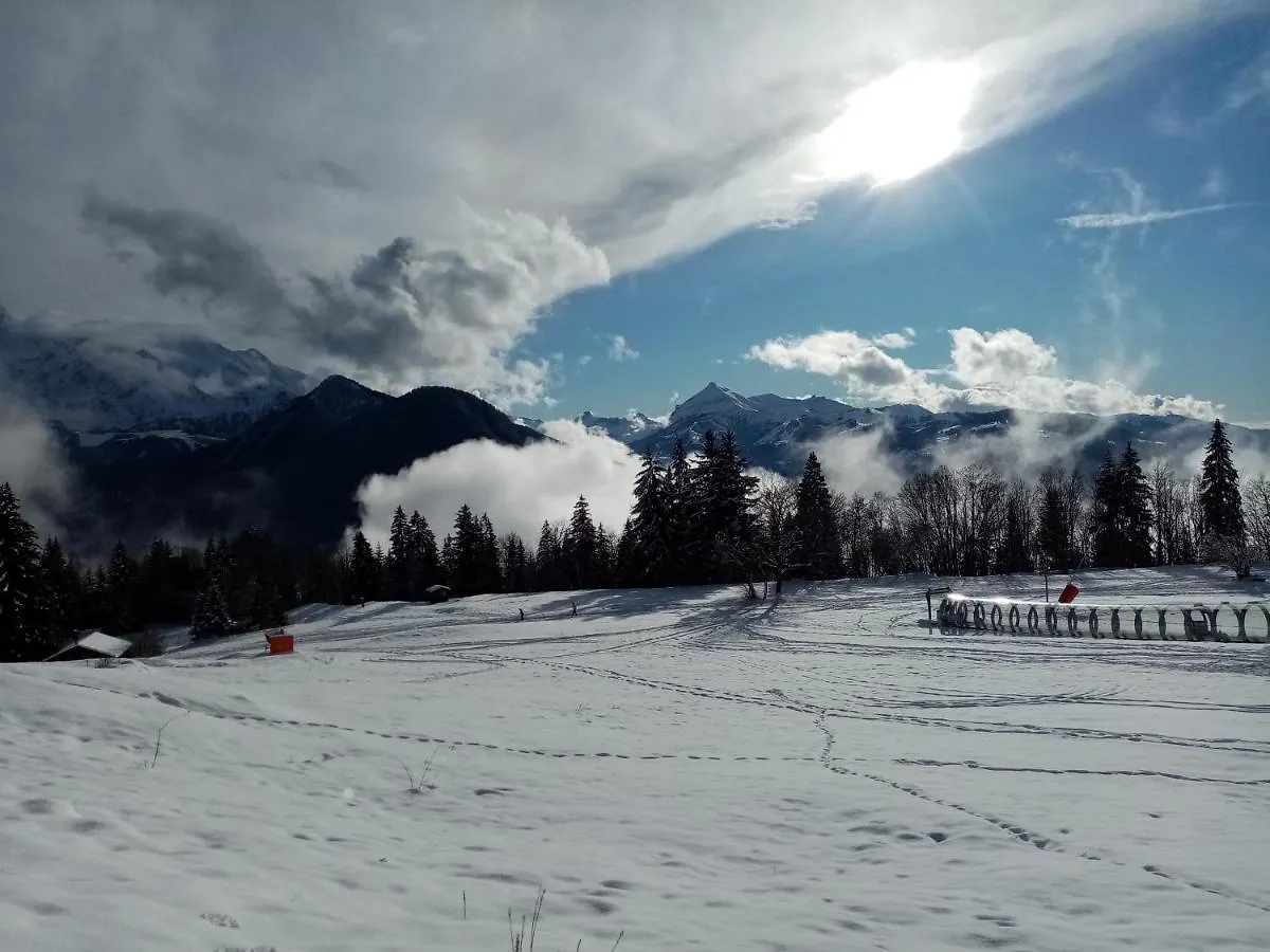 Mont Etape , F2, 42 M2, Calme, Vue Mt Blanc Apartment Passy  Passy (Haute-Savoie)