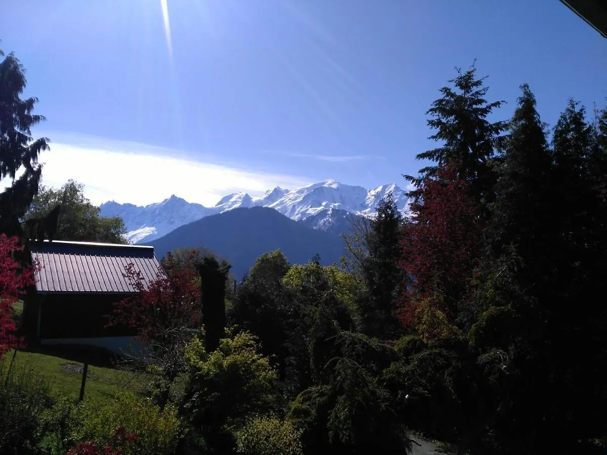 Ferienwohnung Mont Etape , F2, 42 M2, Calme, Vue Mt Blanc Passy  0*, Passy (Haute-Savoie)